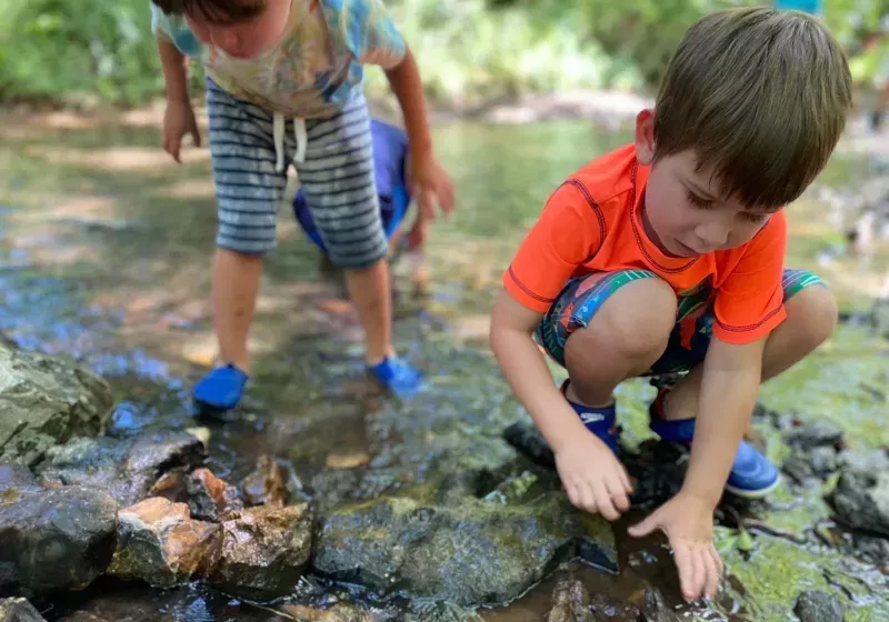 073b2ce1 1f4e 4599 bd58 4969c1d9b586