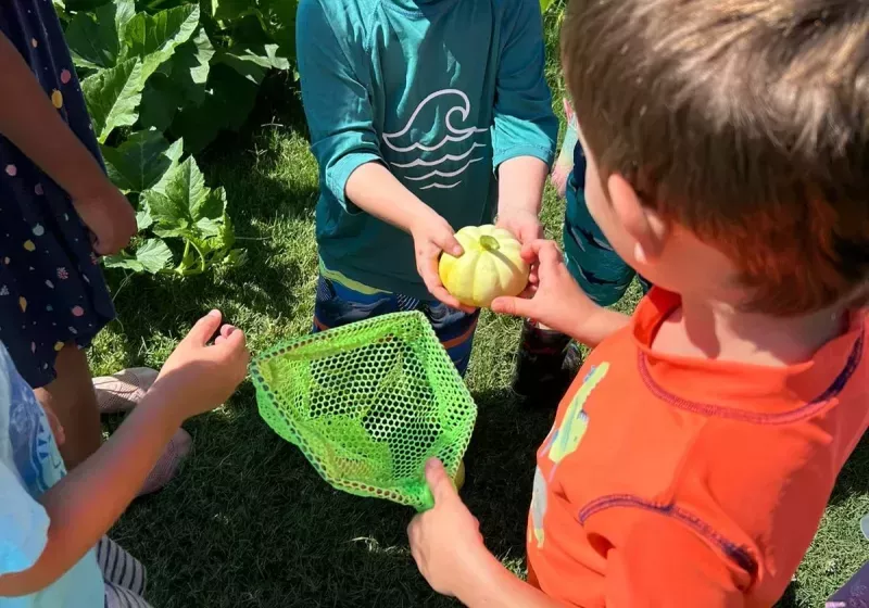 Ca7a27aa 400d 4b80 83fe 4b6d8b4ed9a7