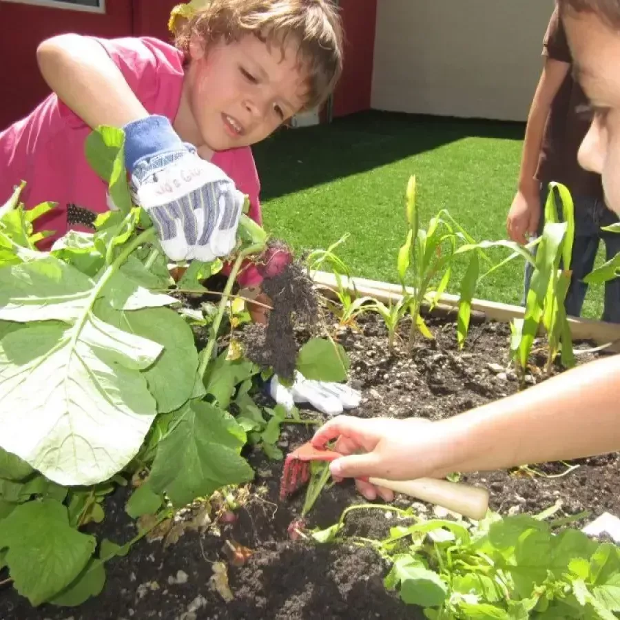 Why Families Love KLA Schools of North Miami Beach